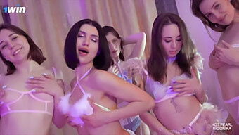 جرب المتعة النهائية مع عرض جماعي في 1winporn'S Flamingo Orgy4