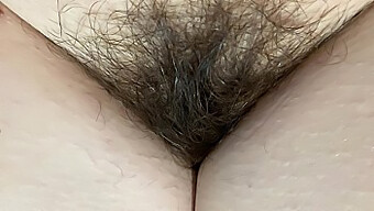 Amateur Hairy Pussy: A Huge Bush In 4k Hd