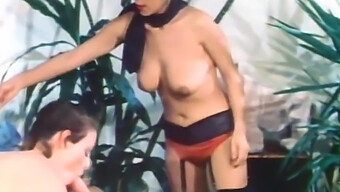 Swedish Erotic Film: A Retro Classic